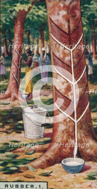 'Rubber, 1. Tapping the Trees, Ceylon', 1928. Artist: Unknown.