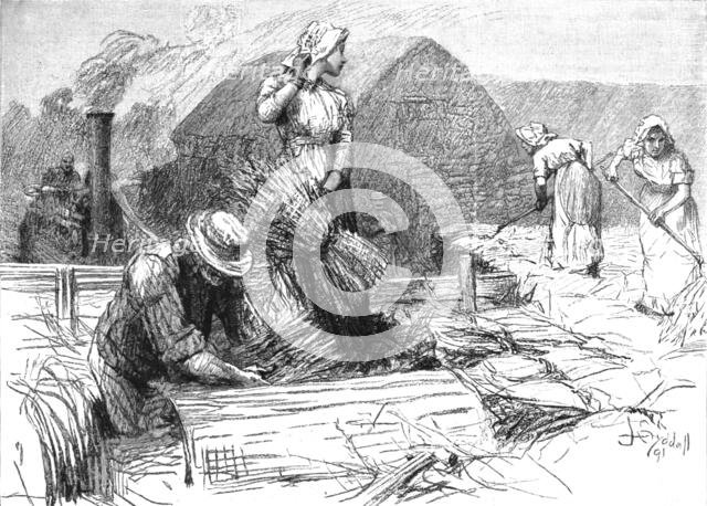 Scene from "Tess of the D'Urbervilles", by Thomas Hardy, 1891. Creator: Sydall.