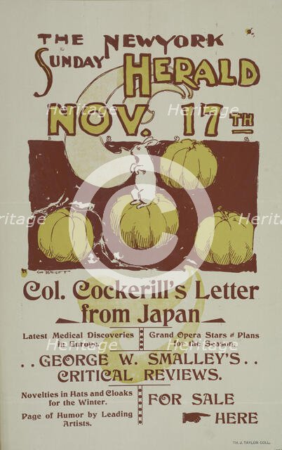 The New York Sunday herald. Nov. 17th., c1895. Creator: Charles Hubbard Wright.