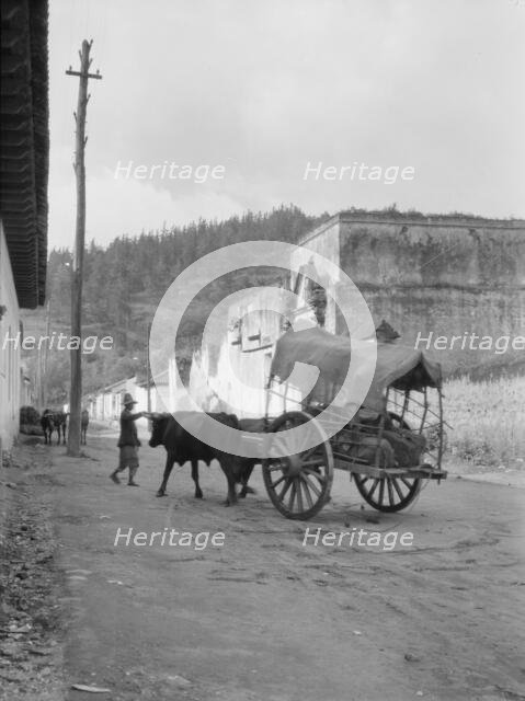 Travel views of Cuba and Guatemala, between 1899 and 1926. Creator: Arnold Genthe.