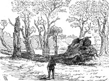 The Great Storm of Wind on Friday week: a tree uprooted near the bridge, Eton, 1881. Creator: Unknown.