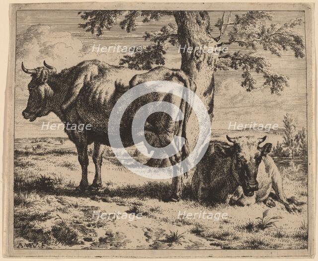 Two Cows under a Tree, c. 1670. Creator: Adriaen van de Velde.