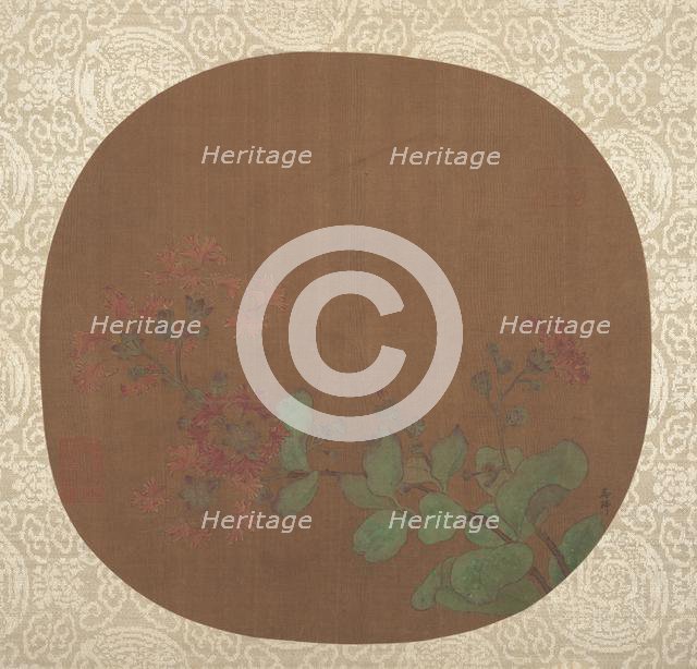 Flower Study. Creator: Unknown.