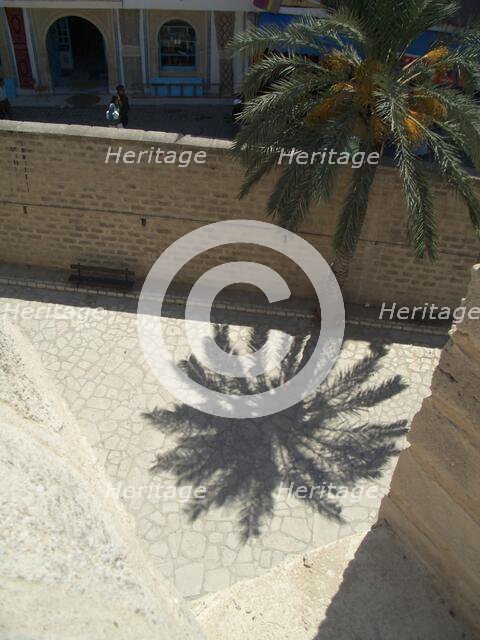 Palm tree and shadow, Sousse, Tunisia, 2009. Creator: Amanda Waite.