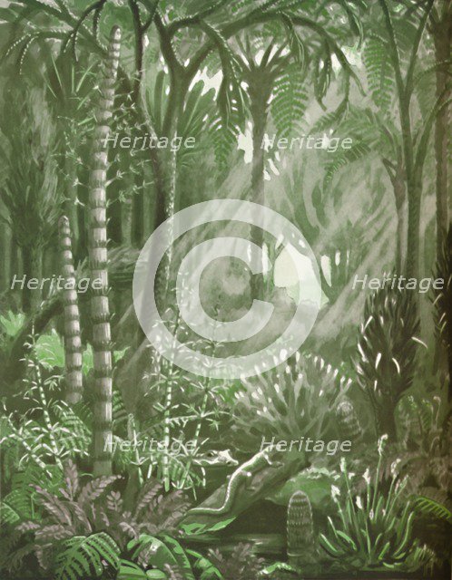 'What the Mighty Coal Forests Were Like', 1935. Artist: Unknown.