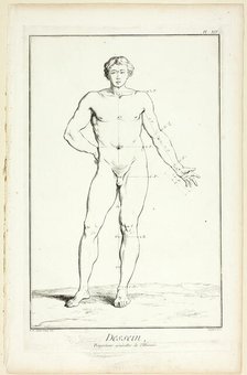Design: General Proportions of the Male, from Encyclopédie, 1762/77. Creator: A. J. Defehrt.