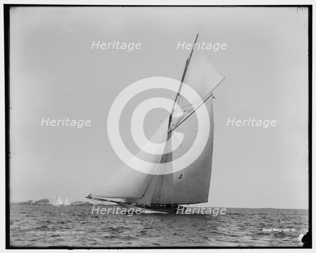 Beatrix, 1891 Aug 29. Creator: Unknown.