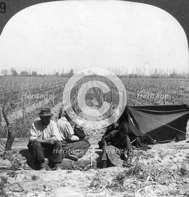 An Italian settler and his family, Mendoza, Argentina, 1900s. Artist: Unknown