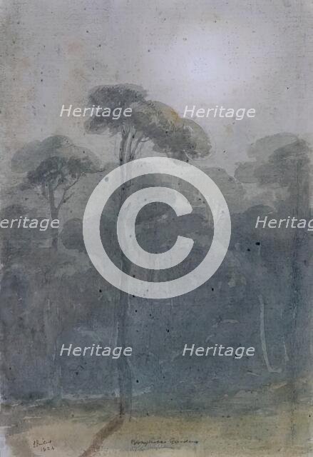 Borghese Gardens, 1825. Creator: James William Giles.