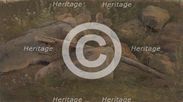 Study of a Stone Heap, 1843. Creator: Wilhelm Peter Carl Petersen.