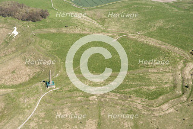Cherhill Down, Wiltshire, 2018. Creator: Historic England Staff Photographer.