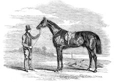 Foigh-a-Ballagh, the winner of the Great St. Leger..., 1844. Creator: Unknown.