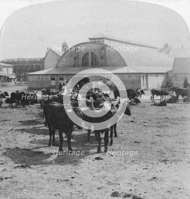 Building in which prisoners of war were tried, Pretoria, South Africa, Boer War, 1901. Artist: Underwood & Underwood