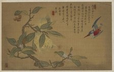 Bird, Fruit, and Flowers, Qing dynasty, 1741. Creator: Wu Zhang.