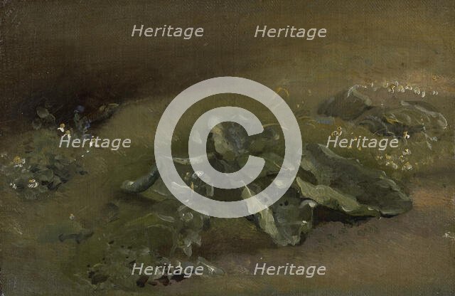 Study Of A Burdock, c1810-14 or c1828. Creator: John Constable.