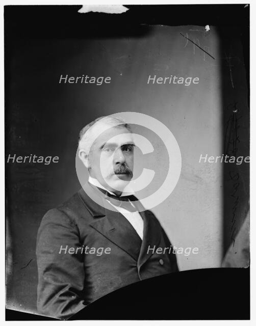 Prof. Darwin, between 1870 and 1880. Creator: Unknown.