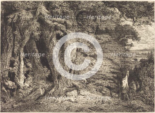Entrance to the Forest, c. 1846. Creator: Paul Huet.