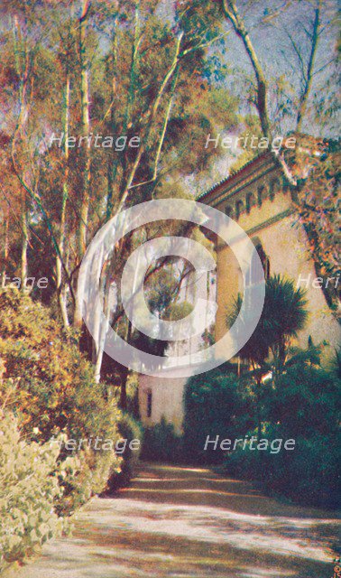 'Intriguing Pathways', c1935. Artist: Unknown.