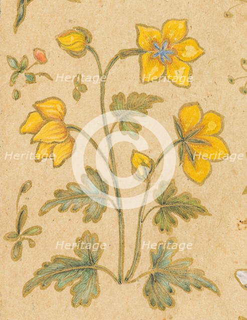 A Discourse Between Muslim Sages (image 6 of 6), c1630. Creator: Govardhan.