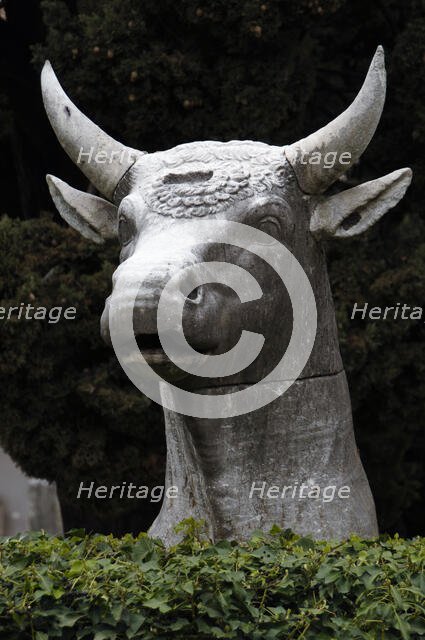 Bull's head, National Roman Museum (Baths of Diocletian), Rome, Italy, 2009. Creator: LTL.