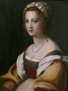 Portrait of a woman. Artist: Andrea del Sarto (1486-1531)