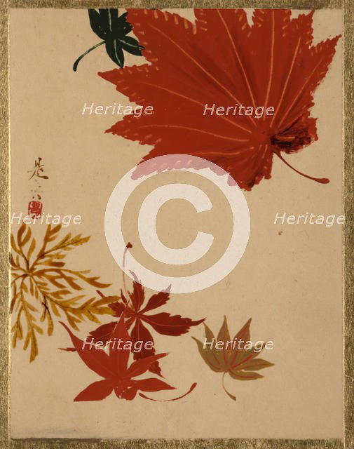 Maple Leaves. Creator: Shibata Zeshin.