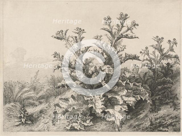 The Great Thistle (Le Grand Chardon), 1843. Creator: Eugene Blery.