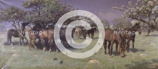 Horses in the deer park, 1896. Creator: Hans Michael Therkildsen.