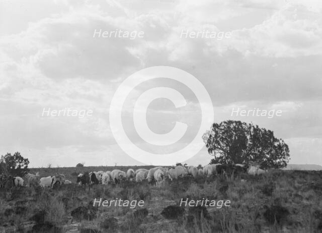 Acoma, New Mexico area views, between 1899 and 1928. Creator: Arnold Genthe.