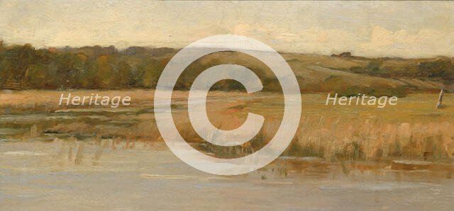 Hill and Marshland, late 19th-early 20th century. Creator: Max Weyl.