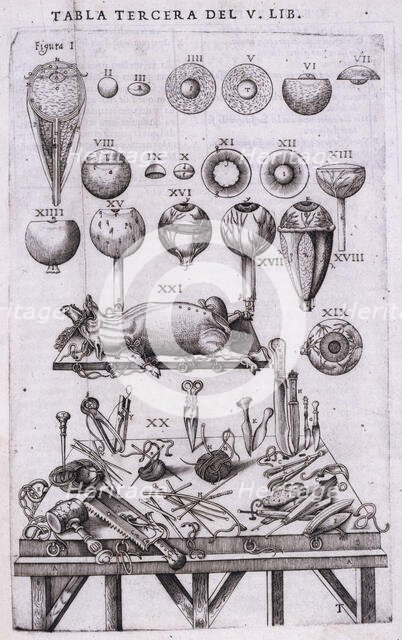 Details of anatomy of the eye and anatomical instruments, 1556.  Creator: Nicolas Beatrizet.