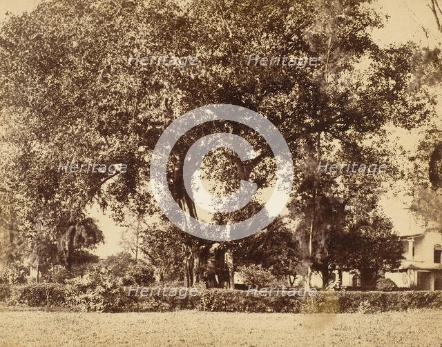 View From Our Garden, Dum Dum, 1850s. Creator: Captain R. B. Hill.