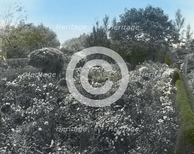 Unidentified house and garden, probably Virginia, between 1910 and 1935. Creator: Frances Benjamin Johnston.