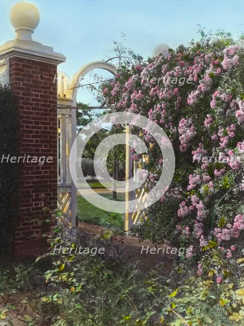 "Armsea Hall," Charles Frederick Hoffman Jr. house, Narragansett Bay, Newport, Rhode Island, 1914. Creator: Frances Benjamin Johnston.