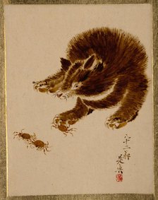 Bear and Crabs. Creator: Shibata Zeshin.