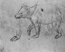'Study of a Bear', c1480 (1945). Artist: Leonardo da Vinci.