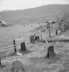 Fenced pasture on cut-over farm, Priest River Valley, Bonner County, Idaho, 1939. Creator: Dorothea Lange.