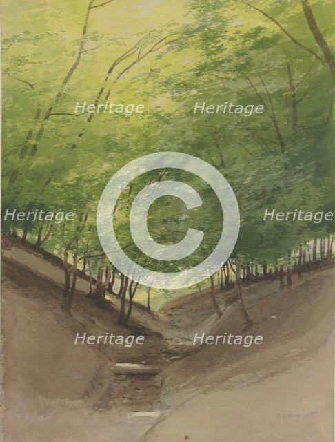 Course of a stream in a forest, 1855. Creator: Carl Theodor Reiffenstein.