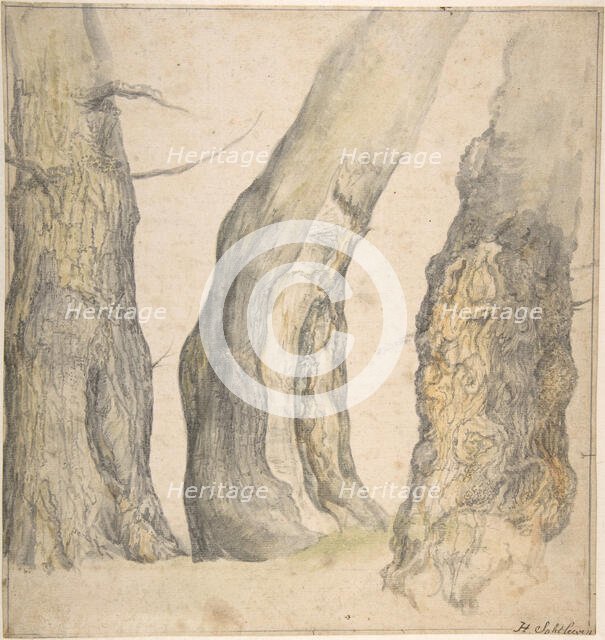 Study of Three Old Gnarled Trees, 1660. Creator: Jan Siberechts.