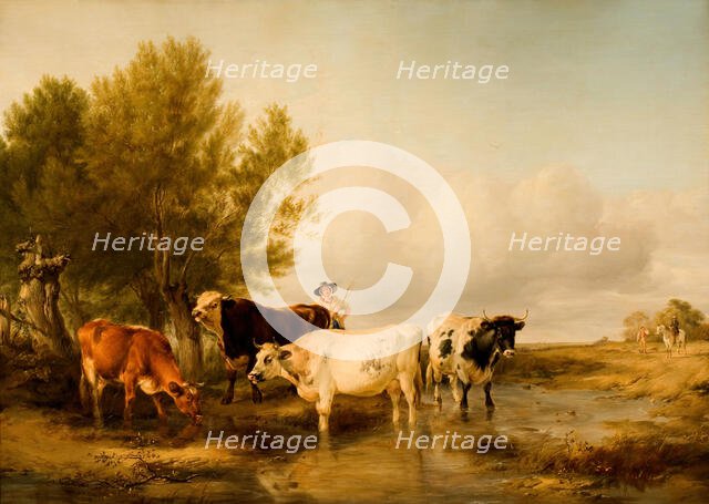 Cattle in a Stream, 1841. Creator: Thomas Sidney Cooper.