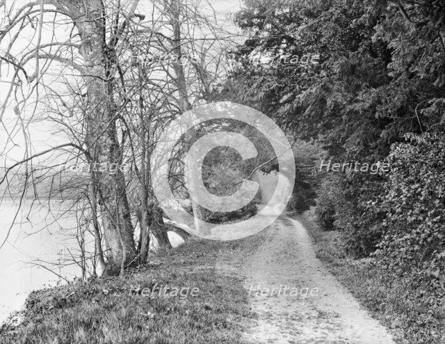 Track on the bank of the River Thames, Cliveden, Taplow, Buckinghamshire, 1883. Artist: Henry Taunt.