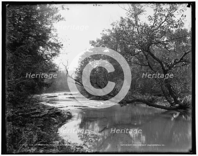 The Conaseraga i.e. Canaseraga, Poagshole, Dansville, N.Y., c1900. Creator: Unknown.