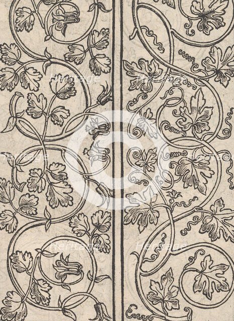 Page from Ein new kunstlich Modelbuch...(Page 15r), 1544., 1544. Creator: Peter Quentel.