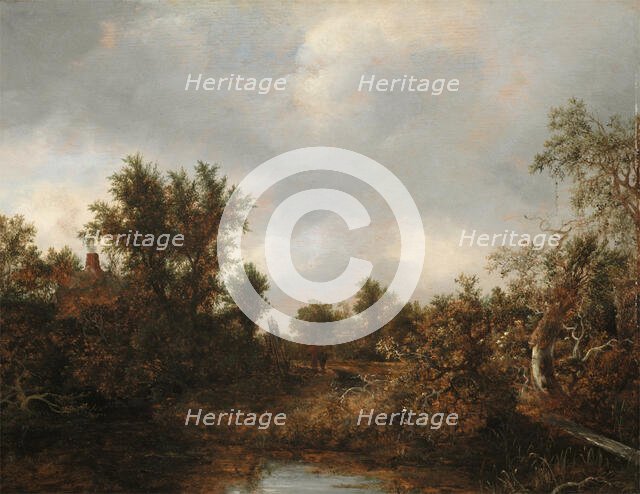 Landscape, c1646. Creator: Jacob van Ruisdael.