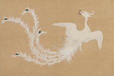 White Phoenix (Hakuho). From the series "A World of Things (Momoyogusa)", 1909-1910. Creator: Sekka, Kamisaka (1866-1942).