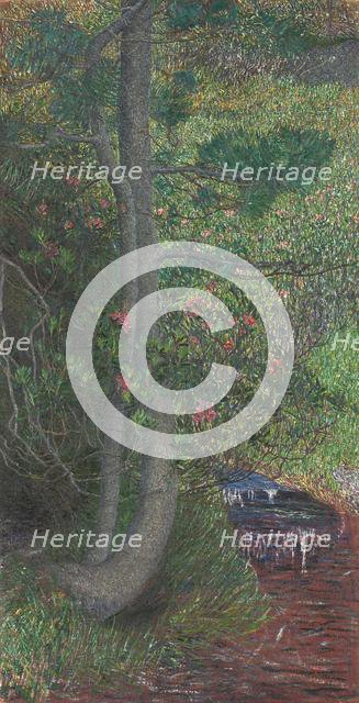 Pine Tree, c. 1897. Creator: Giovanni Segantini (Italian, 1858-1899).