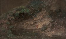 Undergrowth, ca. 1821. Creator: John Constable.