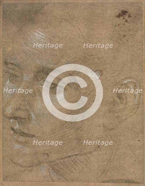 Head of a Young Man, second half 1400s. Creator: Filippino Lippi (Italian, 1457-1504).