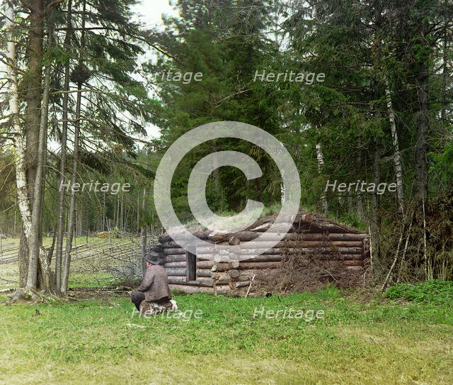 Hut in the forest, for woodcutters and kuria (coal burning), 1912. Creator: Sergey Mikhaylovich Prokudin-Gorsky.