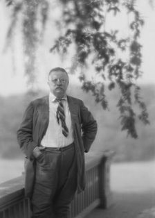 Roosevelt, Theodore, portrait photograph, 1916 Sept. 8. Creator: Arnold Genthe.